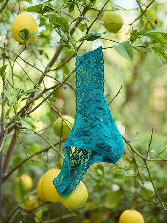 Dark Teal Signature Lace® Original Rise Thong - Lifestyle Editorial, draped on fruit tree branch | Hanky Panky