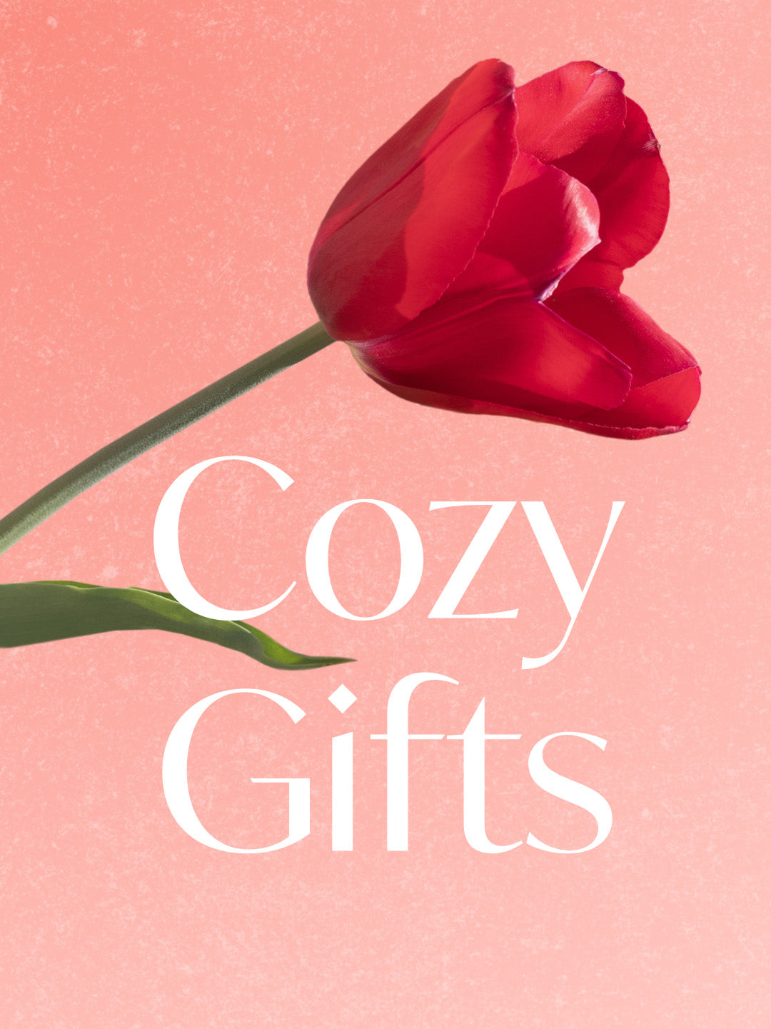Red tulip on a pink background with 'Cozy Gifts' text