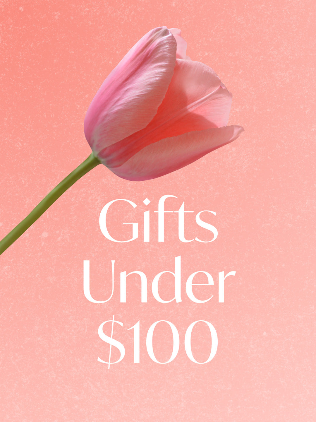 Pink tulip on a pink background with 'Gifts Under $100' text.