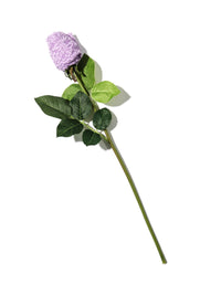 Signature Lace Low Rise Thong Rose Lavender Sachet Purple