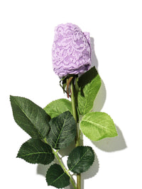 Signature Lace Low Rise Thong Rose Lavender Sachet Purple
