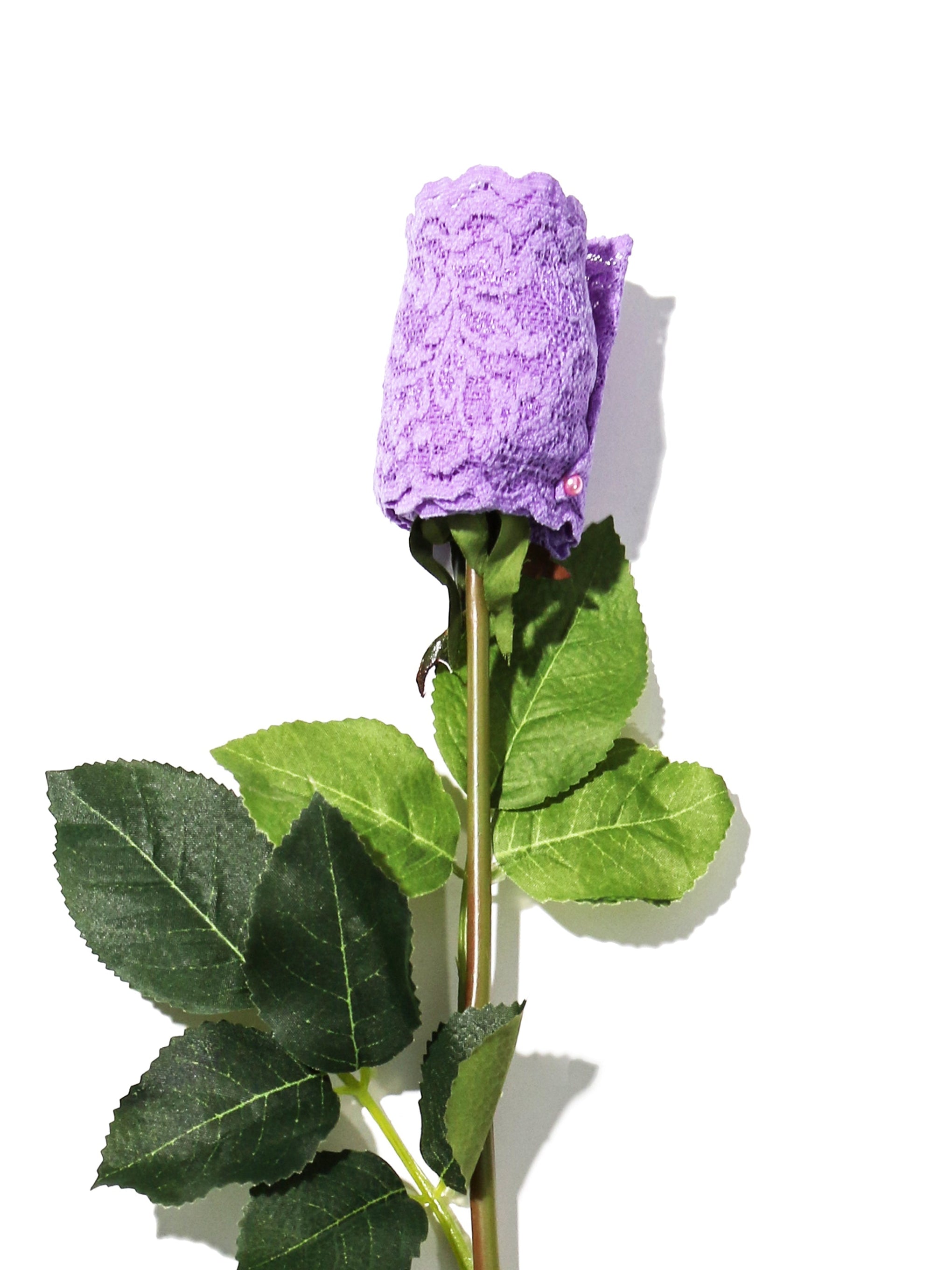 Signature Lace Original Rise Thong Rose Electric Orchid Purple
