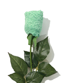 Signature Lace Original Rise Thong Rose Mint Sprig Green