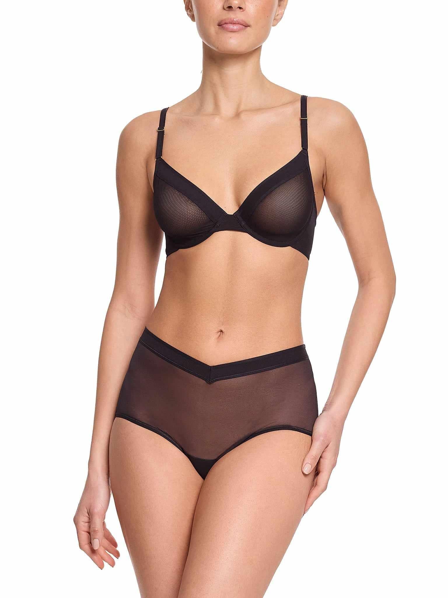 Black Sheer Mesh Underwire Bra with Matching Briefs - Full Body Front View | Hanky Panky